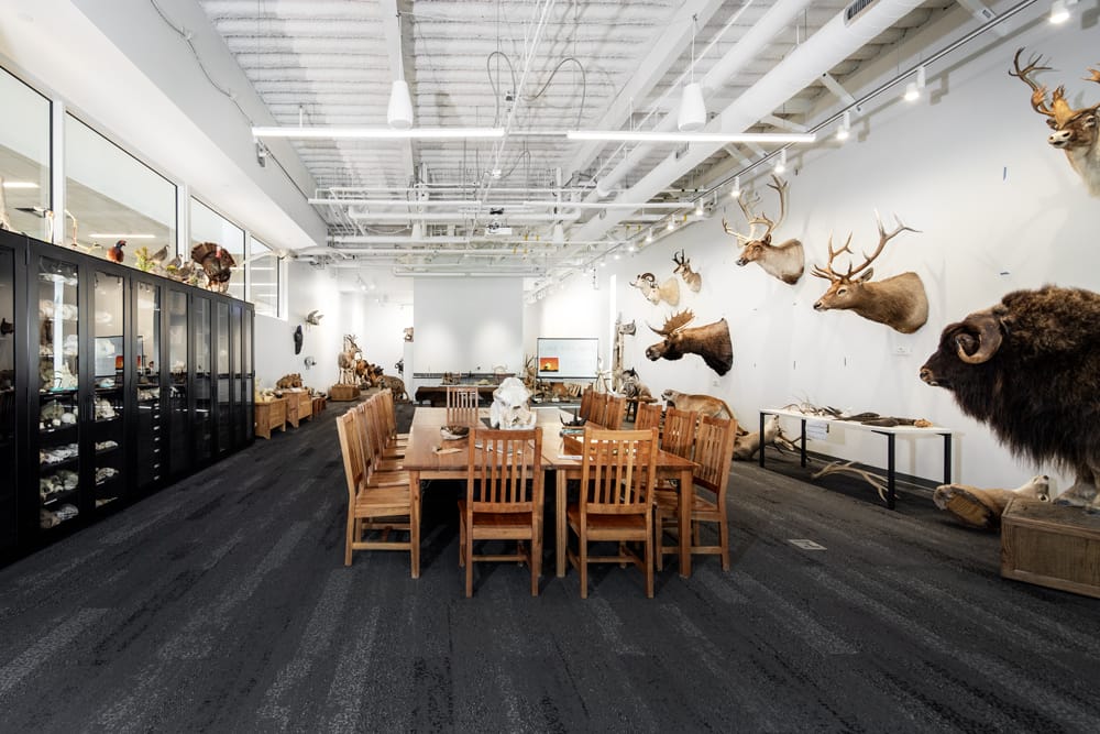 Interior Waterford School Science Center